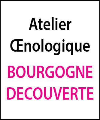 atelier oenologique Bourgogne Decouverte arts et vin 2