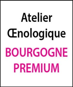 atelier oenologique Bourgogne Premium arts et vin 2